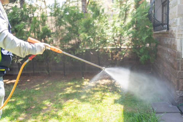 Reliable Wilmore, KY Pest Control Solutions