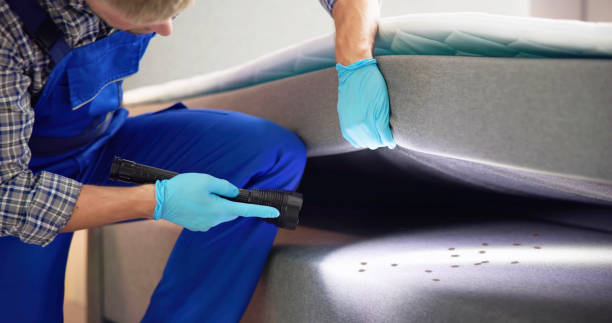 Best Rat Extermination Near Me  in Wilmore, KY