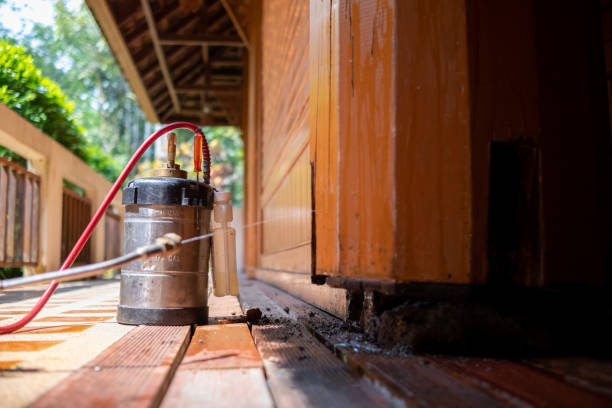Best Cockroach Control Services  in Wilmore, KY