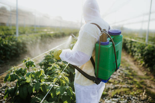 Best Residential Pest Control  in Wilmore, KY